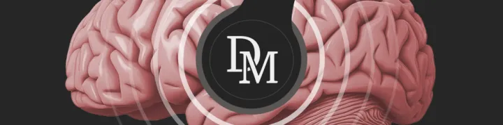 Daily Maverick Podcast